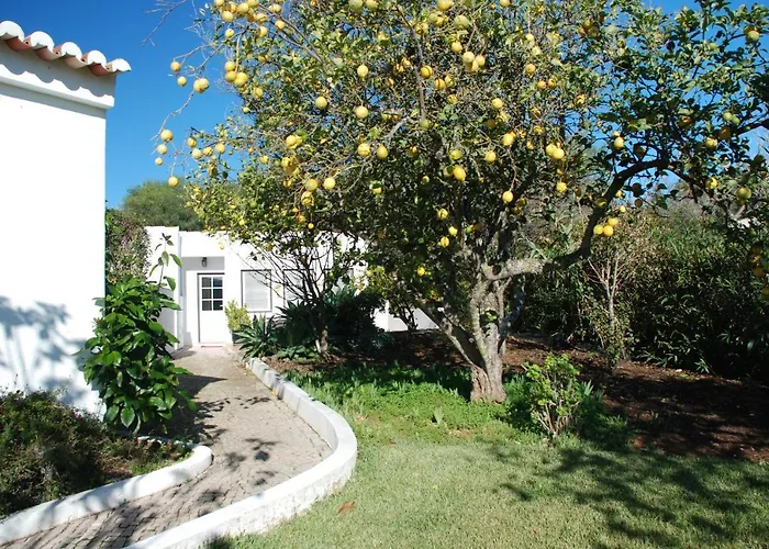 Casa Beachcomber Le Jardin Des Arts