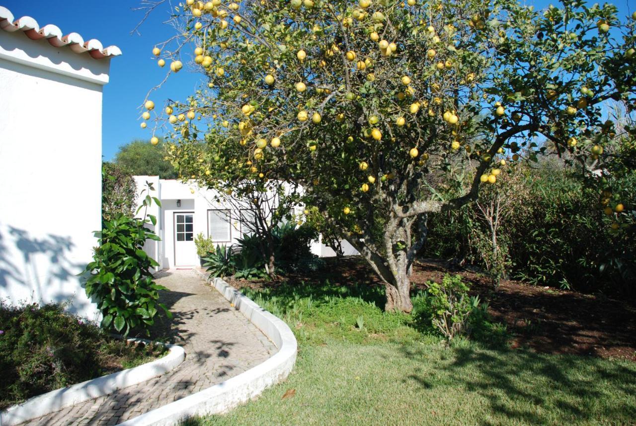Casa Beachcomber Le Jardin Des Arts Lagos