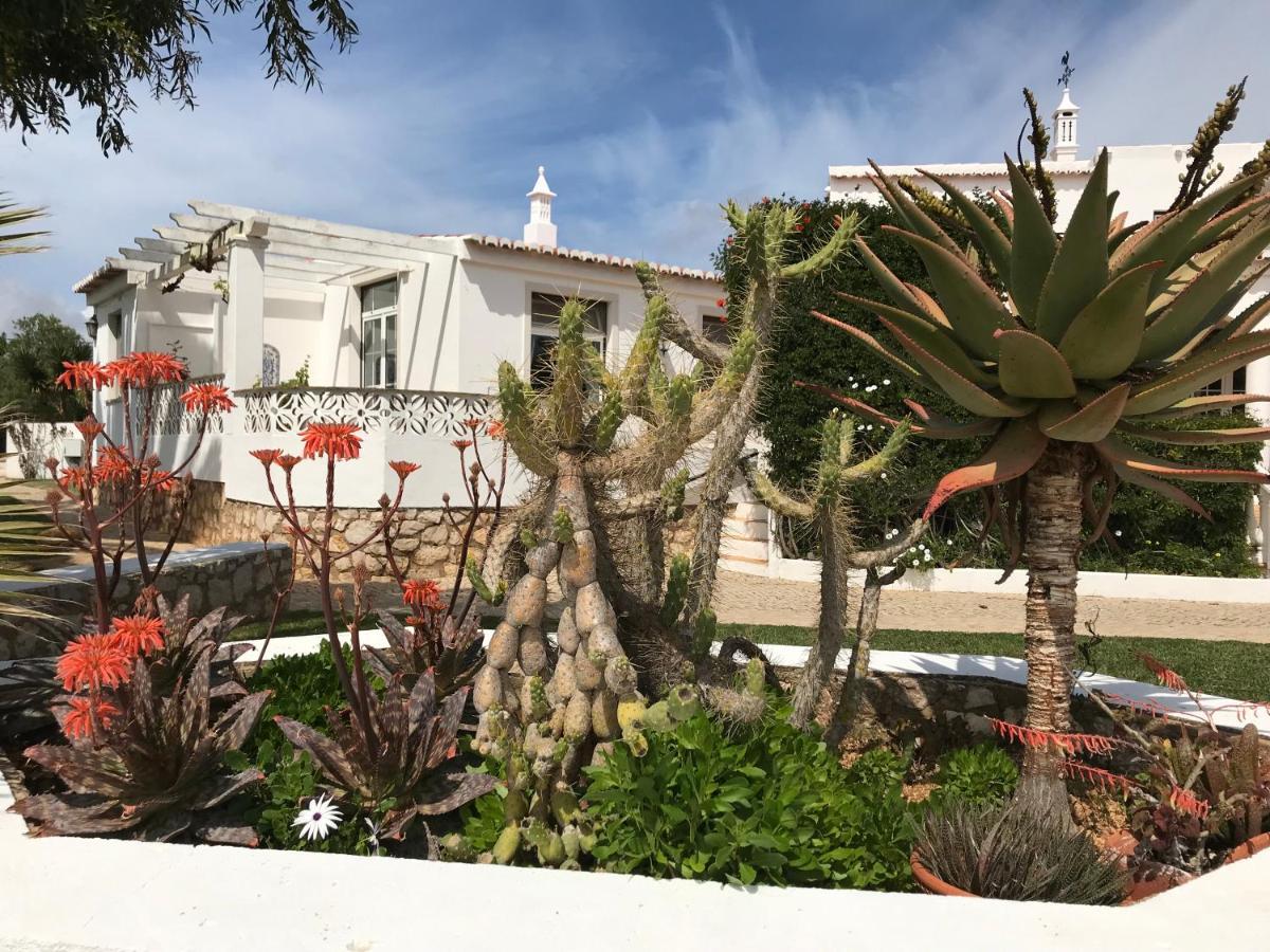 Apartment Casa Beachcomber Le Jardin Des Arts *