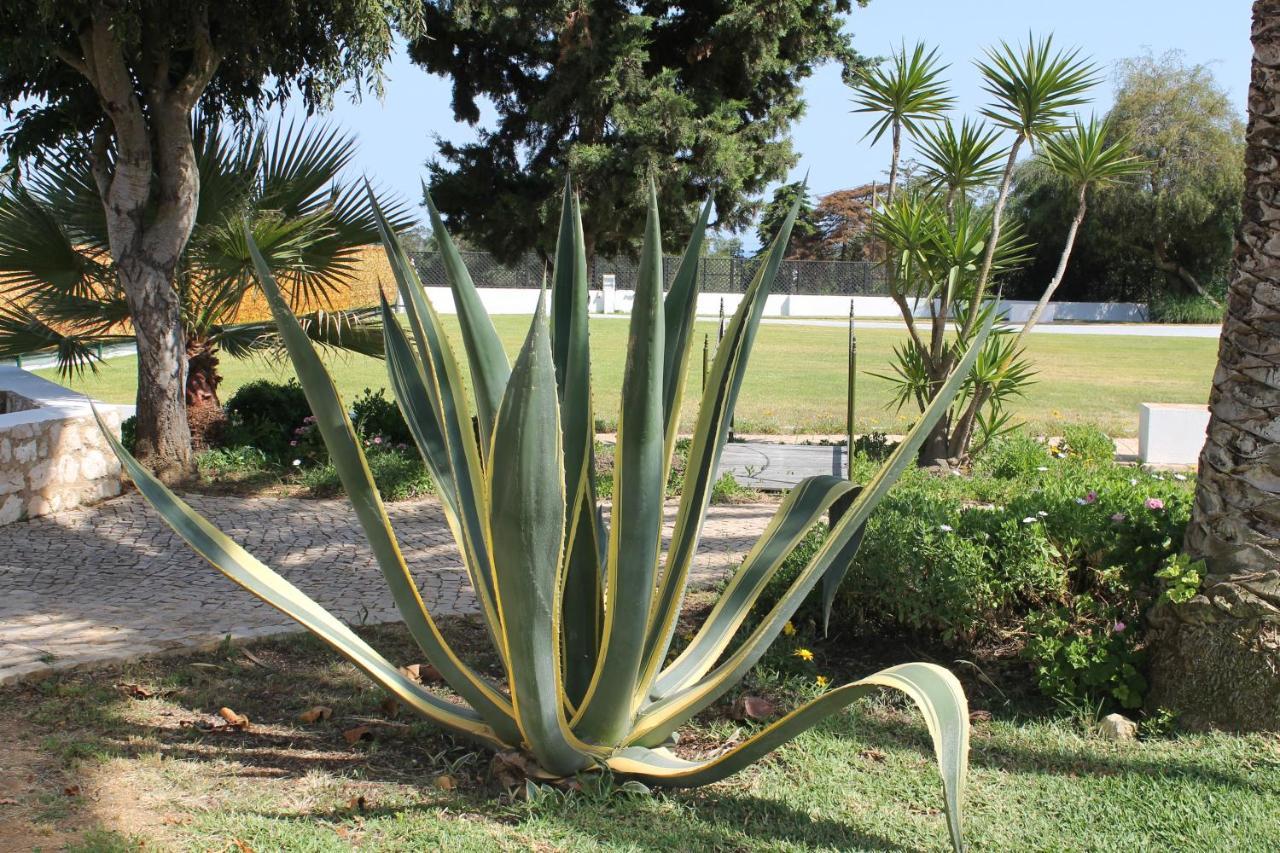 Casa Beachcomber Le Jardin Des Arts Apartment *