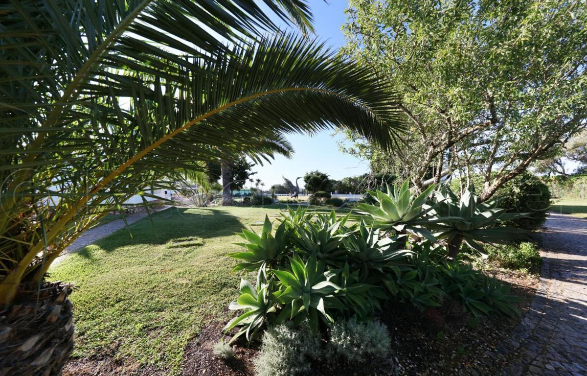 Apartment Casa Beachcomber Le Jardin Des Arts *