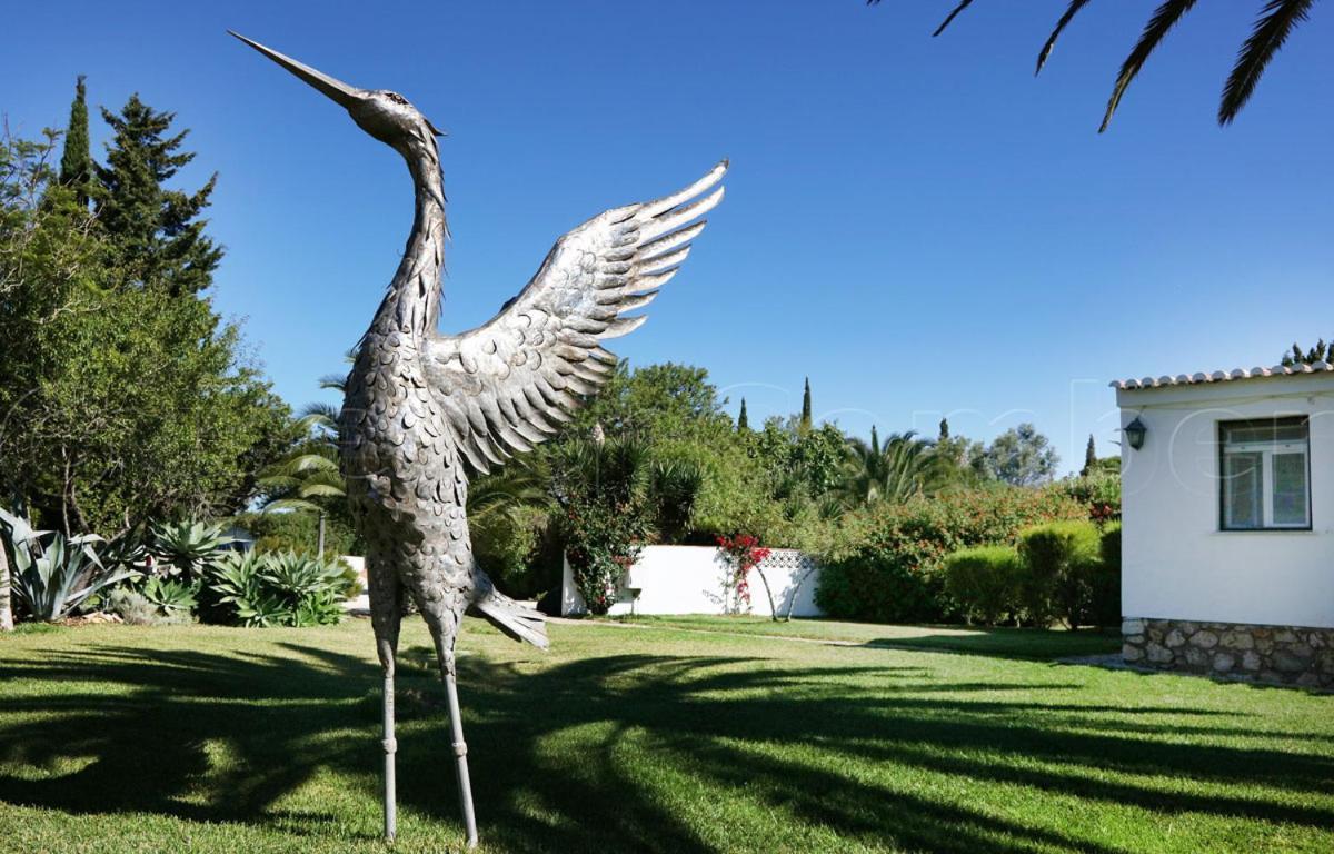 Casa Beachcomber Le Jardin Des Arts *