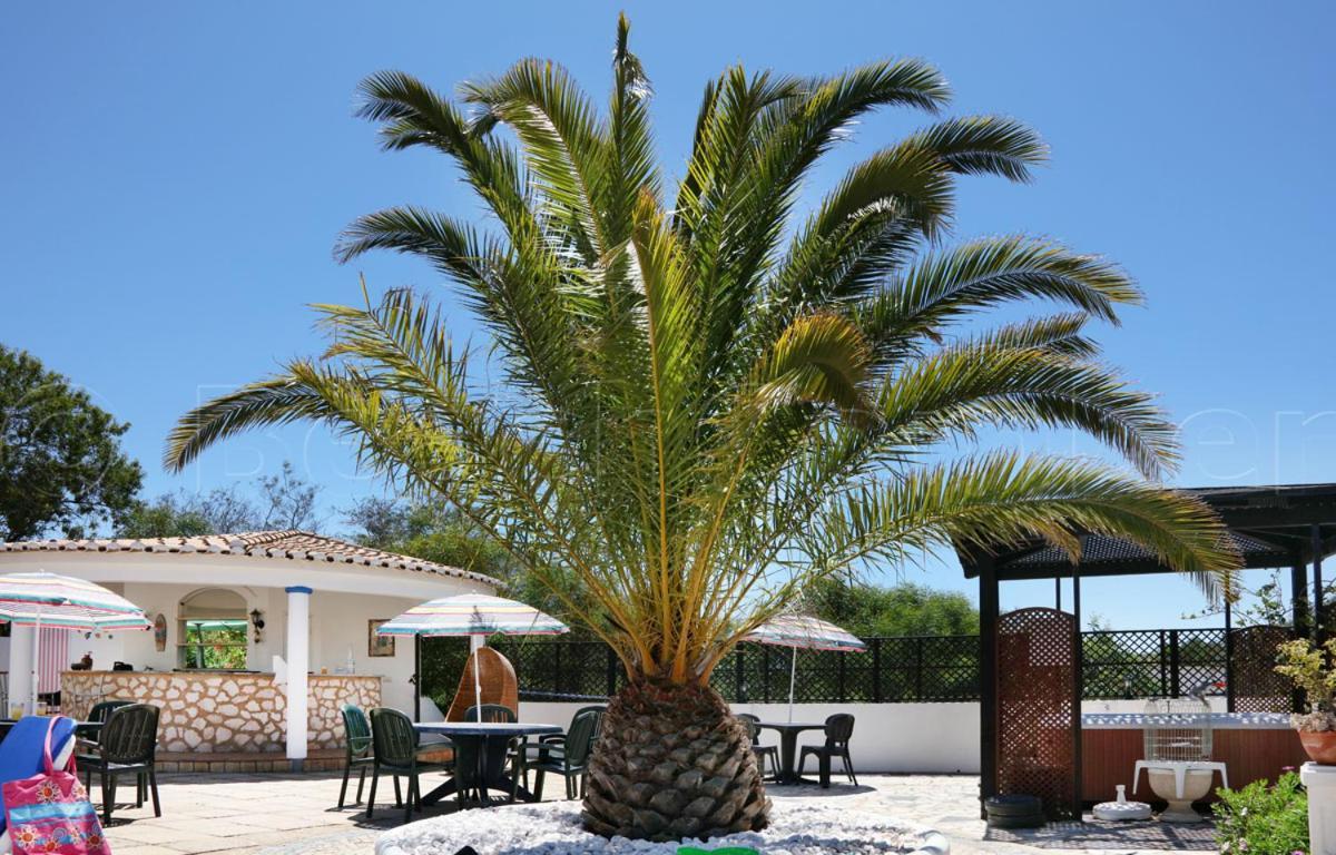 Apartment Casa Beachcomber Le Jardin Des Arts *