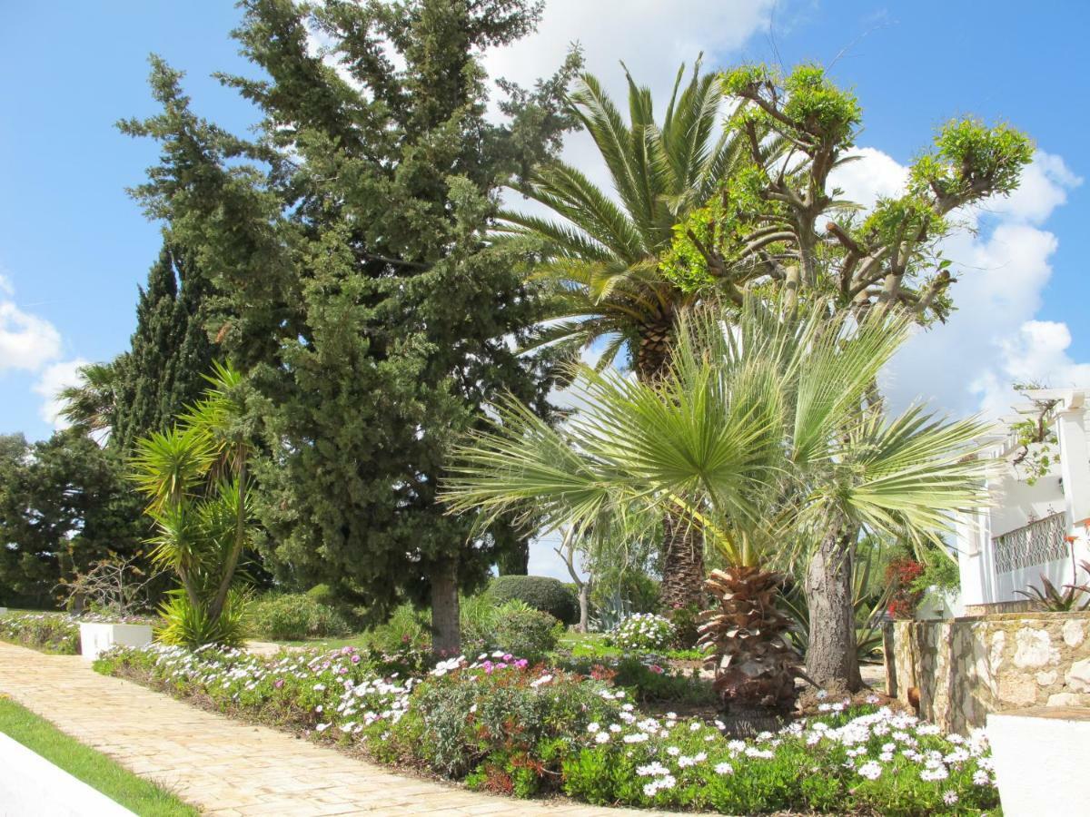 Casa Beachcomber Le Jardin Des Arts Apartment Lagos